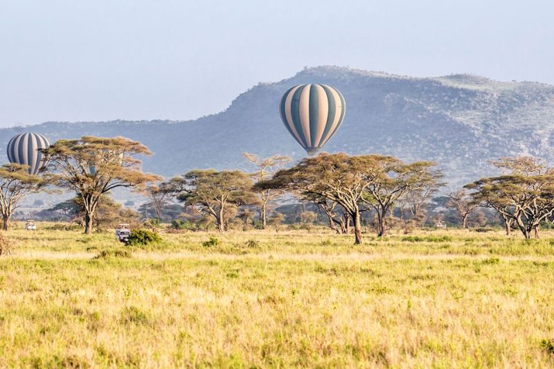 10 Day Tanzania Wildlife Safari