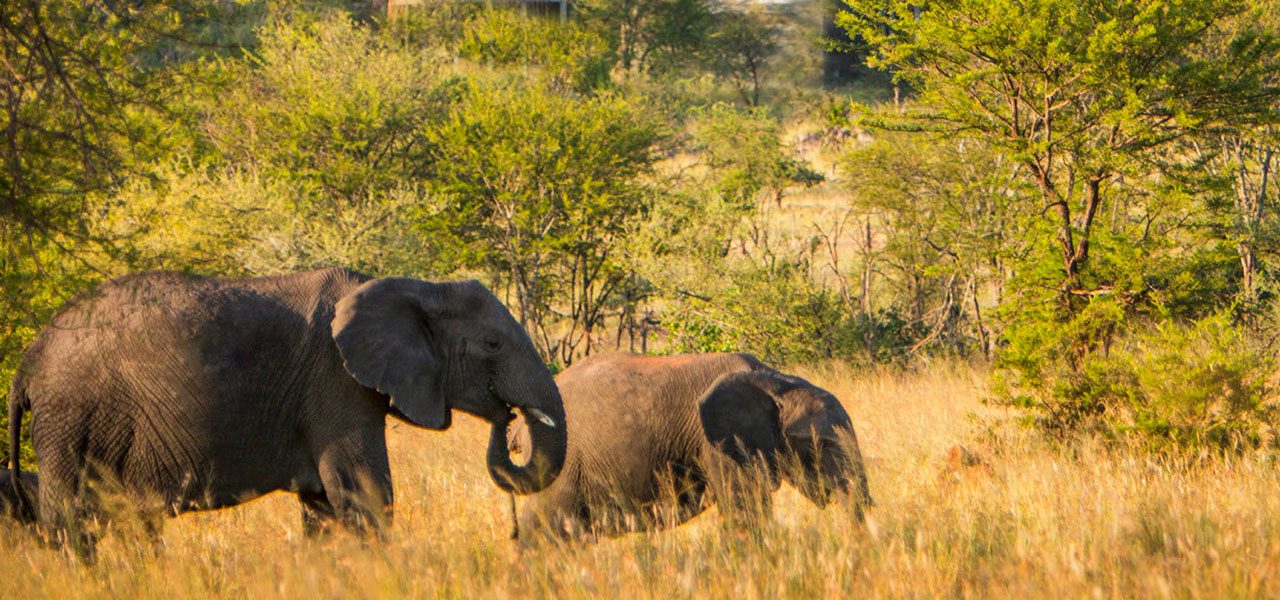 3 Days Budget Camping Safari in Tanzania