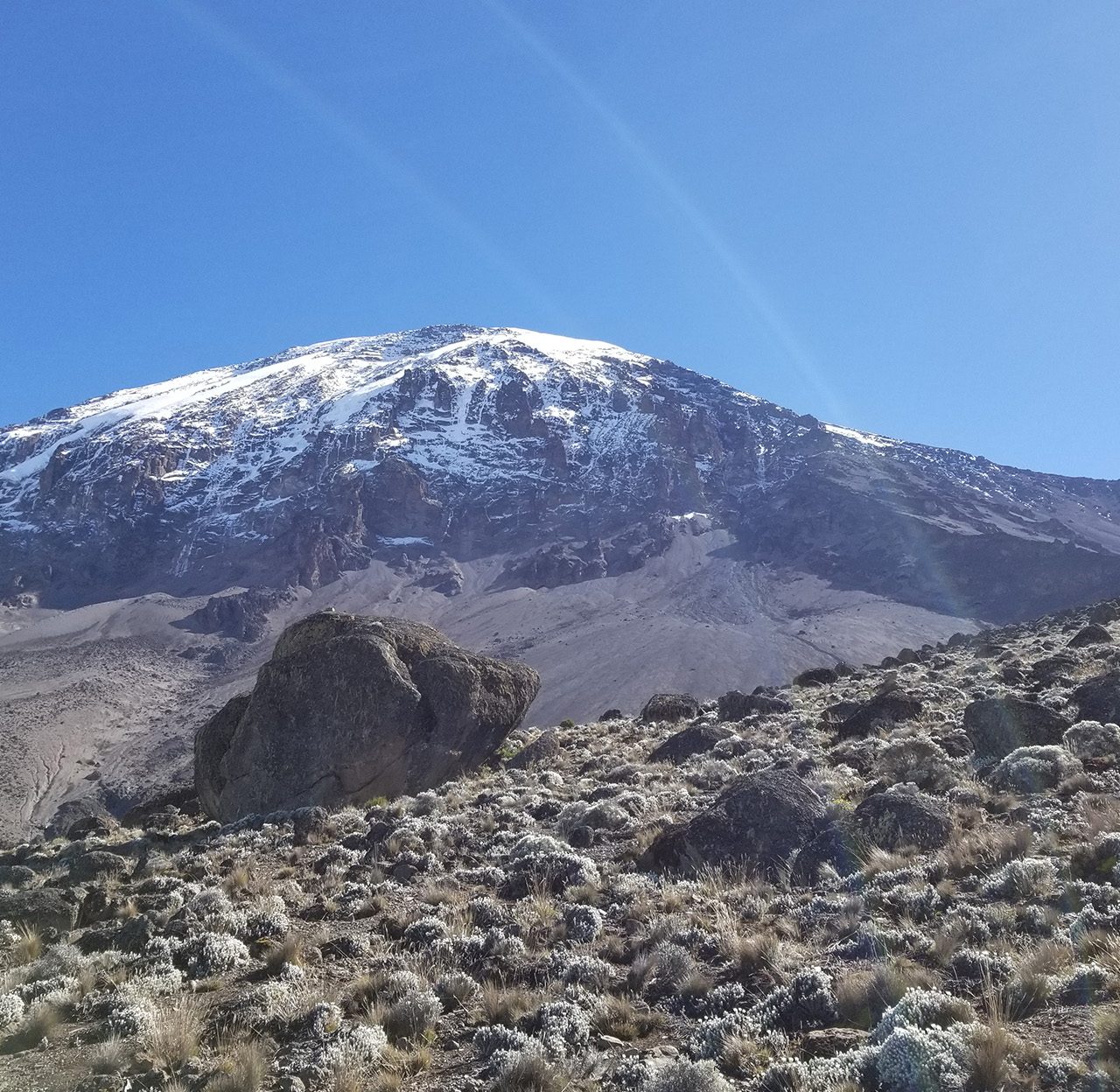 7 Days Lemosho Route Kilimanjaro Climb