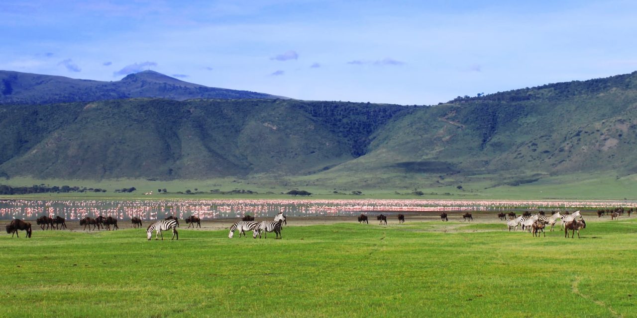 Ngorongoro Crater Day Tour