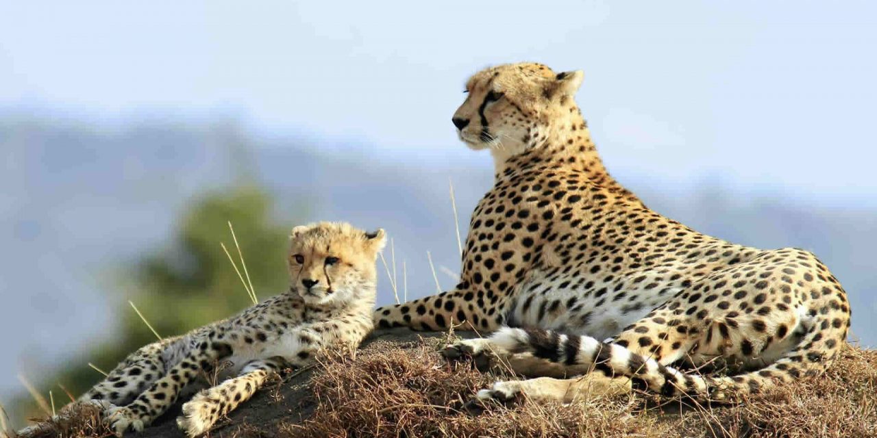 When is the best time to visit Tanzania?