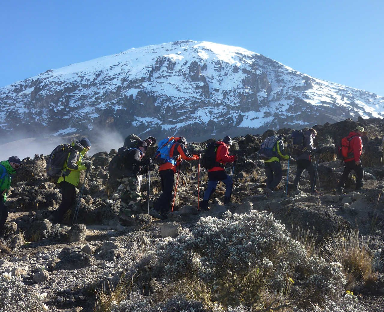 8 Days Lemosho Route Kilimanjaro Climb