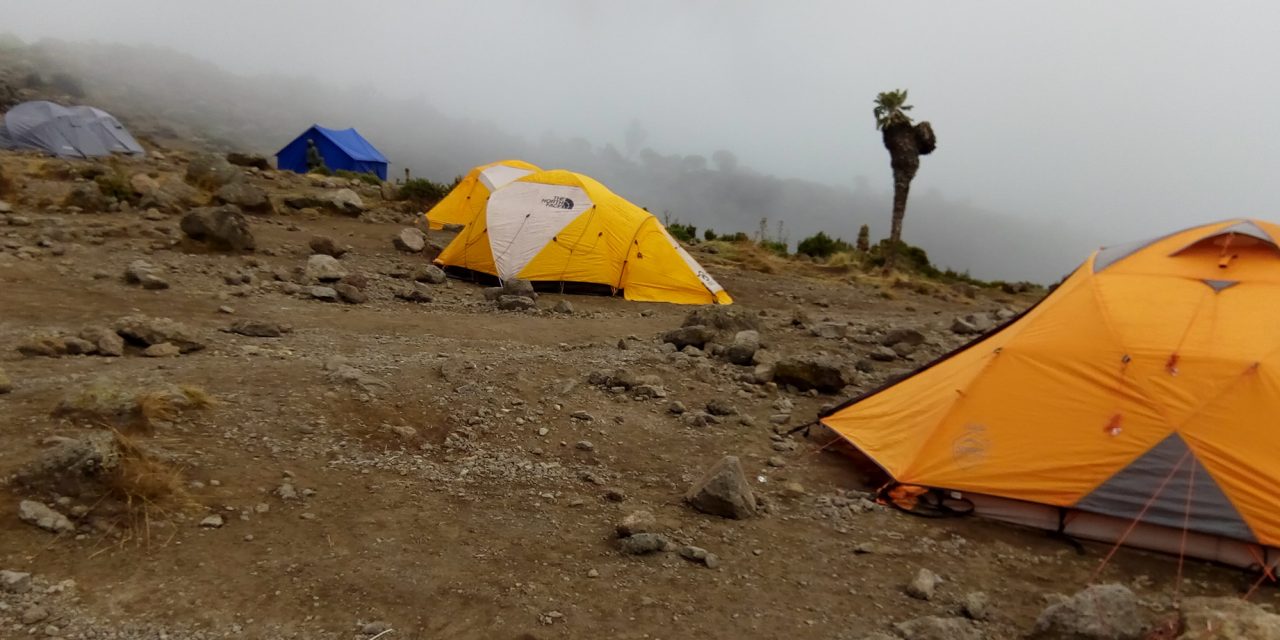 When is the best time to climb kilimanjaro?