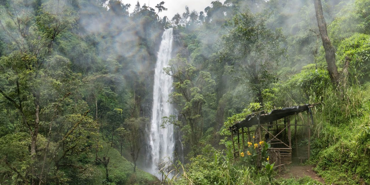 Materuni Waterfalls and Coffee Tour