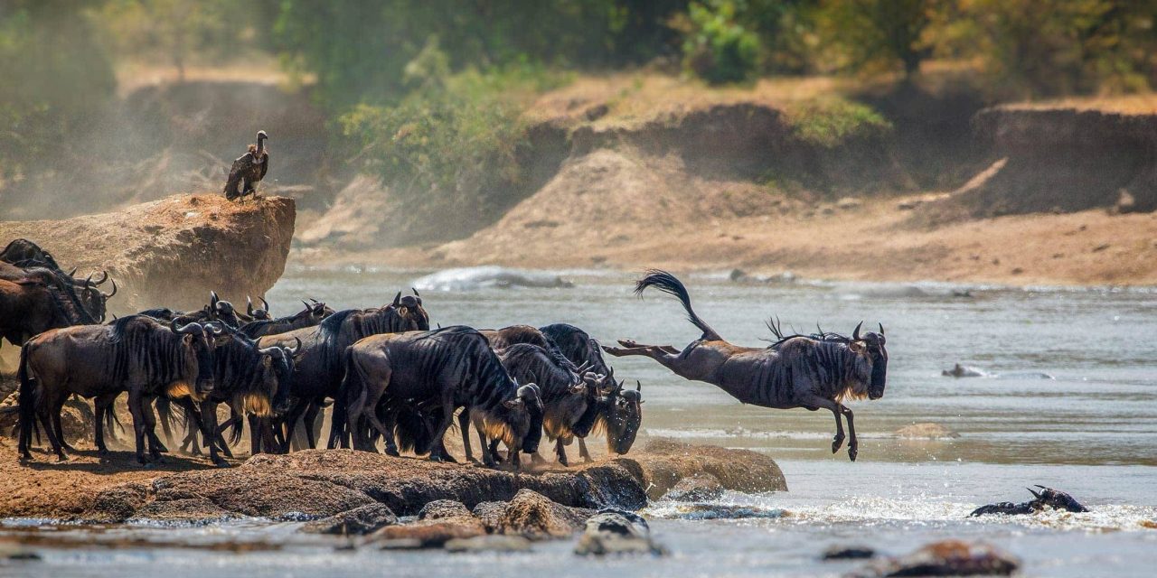 7 Days Northern Tanzania Budget Safari