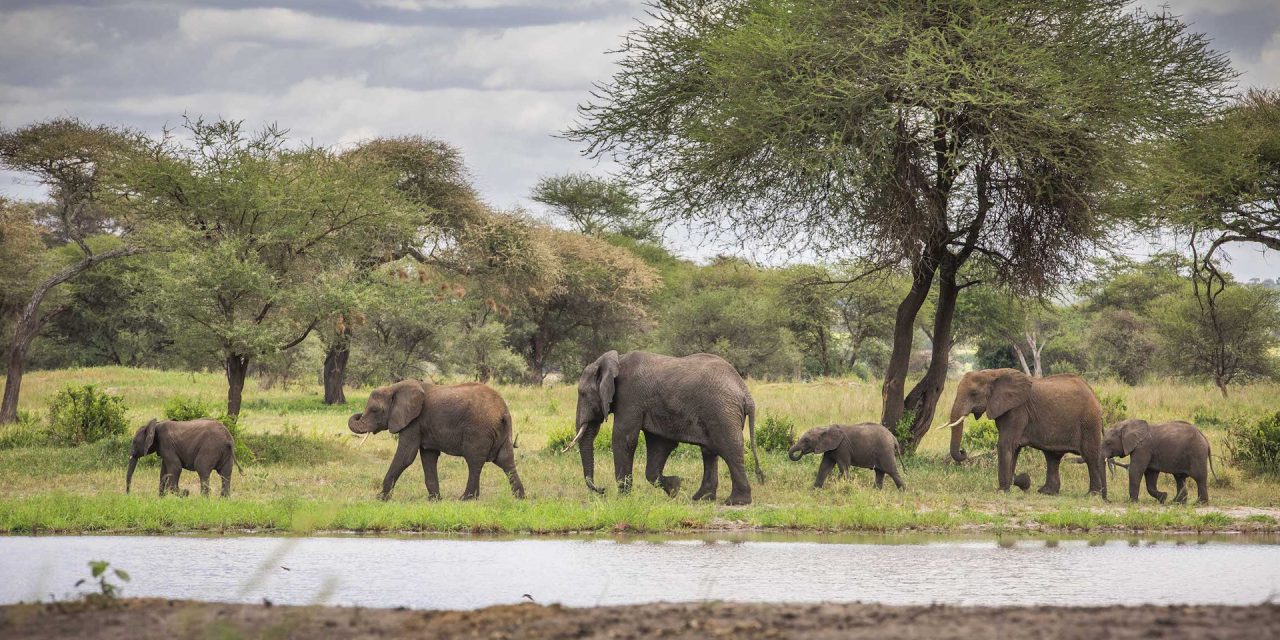 6 Days Camping Safari and Ol Doinyo Lengai Trek