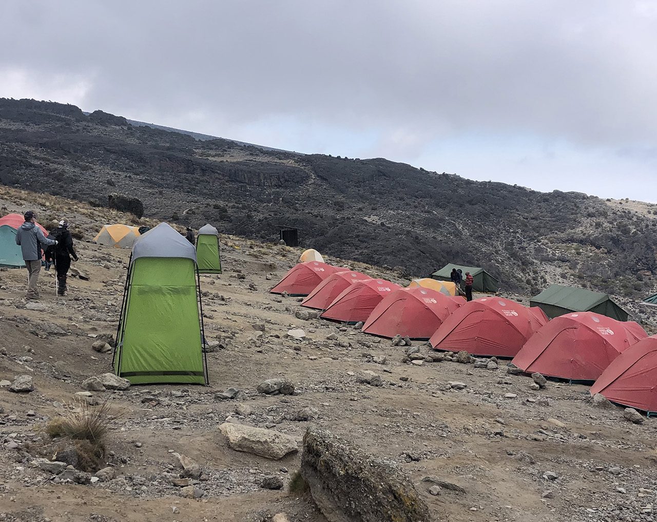 8 Days Northern Circuit Route Kilimanjaro Climb